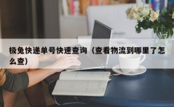 极兔快递单号快速查询（查看物流到哪里了怎么查）