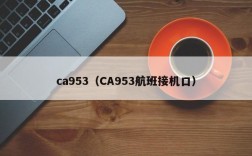 ca953（CA953航班接机口）