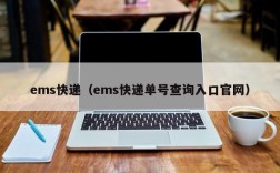 ems快递（ems快递单号查询入口官网）