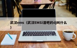 武汉ems（武汉EMSi酒吧的dj叫什么）