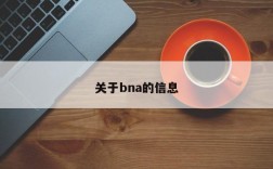 关于bna的信息