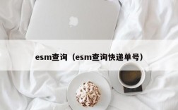 esm查询（esm查询快递单号）