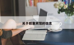 关于胶囊宾馆的信息