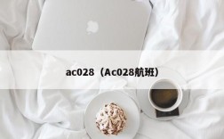 ac028（Ac028航班）