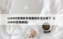 cz3456空难机长和副机长怎么样了（cz3456空难原因）