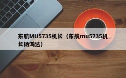 东航MU5735机长（东航mu5735机长杨鸿达）