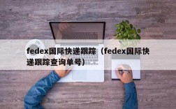 fedex国际快递跟踪（fedex国际快递跟踪查询单号）