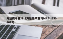 海运提单查询（海运提单查询MRSU3598675）