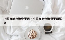 中国智能物流骨干网（中国智能物流骨干网菜鸟）