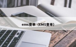 ems查单（EMS查单）