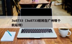 3u8733（3u8733航班在广州哪个航站楼）