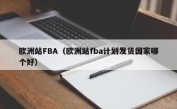 欧洲站FBA（欧洲站fba计划发货国家哪个好）